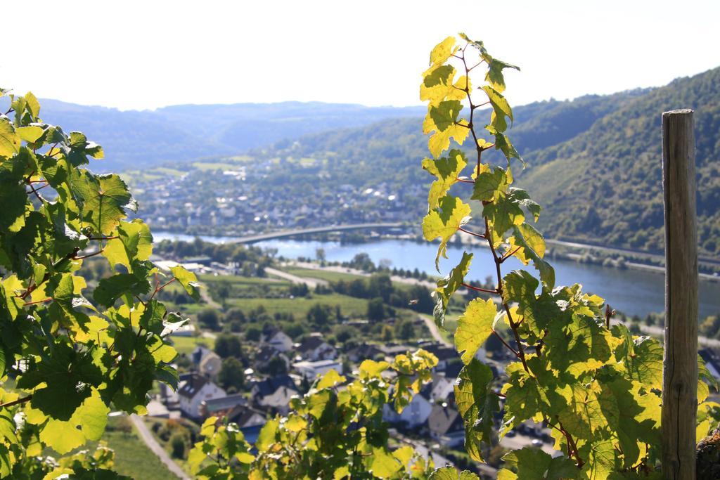 Apartment Im Moseltal