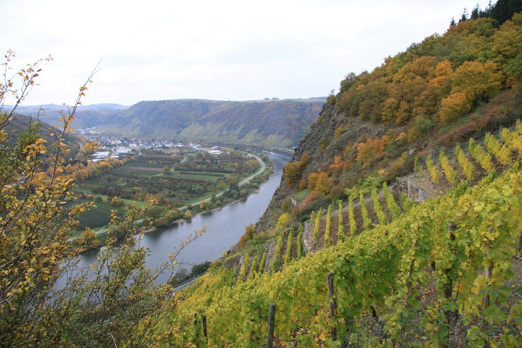 Im Moseltal *