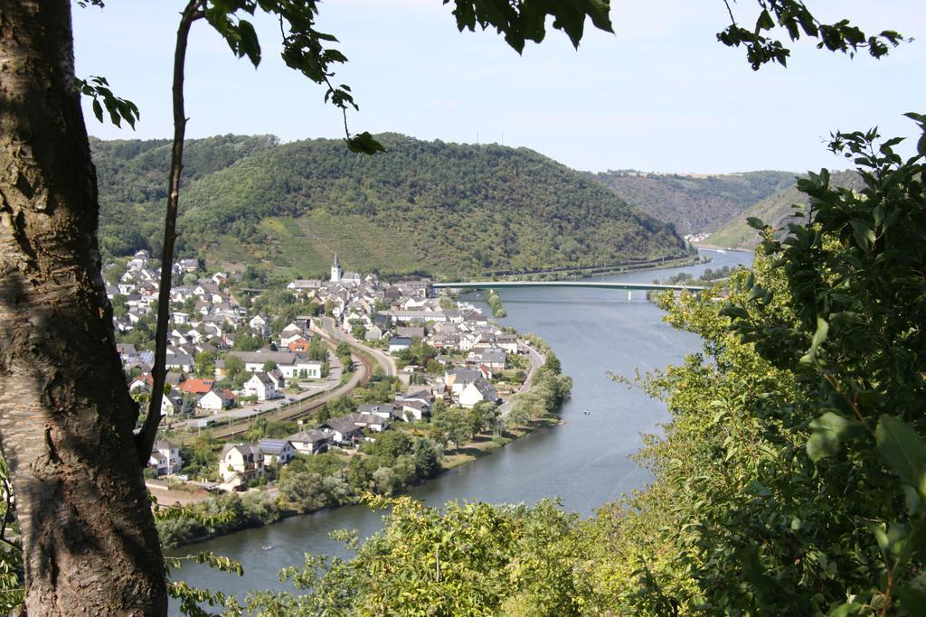 Apartment Im Moseltal *