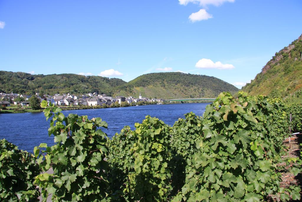 Im Moseltal *