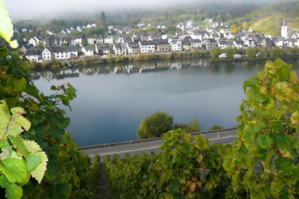 Apartment Im Moseltal Löf